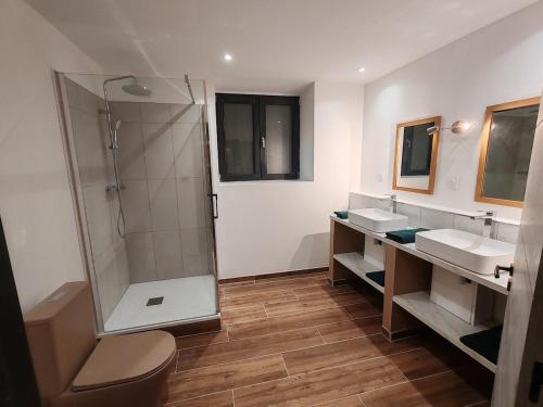 Koupelna v ubytování Grande Longère Haut de gamme 218m2, 12 pers billard salon 70 m2