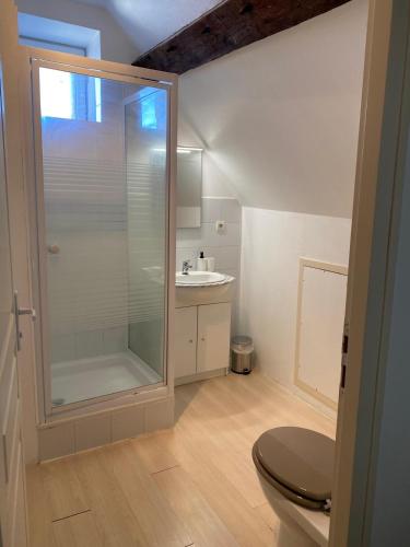 een badkamer met een douche, een toilet en een wastafel bij Le Duplex Cosy in Orléans