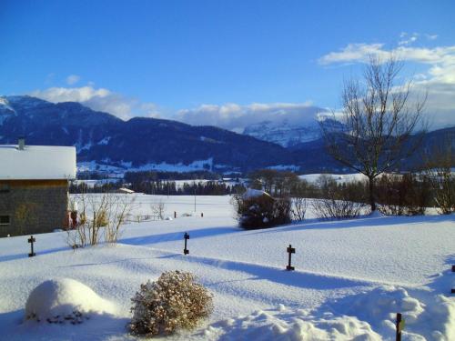 Φυσικό τοπίο κοντά σε αυτό το διαμέρισμα