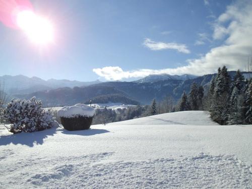 Φυσικό τοπίο κοντά σε αυτό το διαμέρισμα