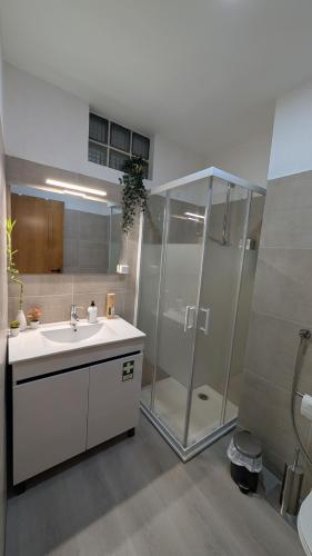 a bathroom with a shower and a white sink at VistaClub in Setúbal