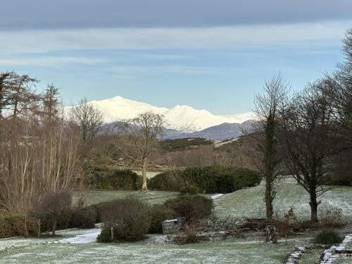un campo cubierto de nieve con árboles y montañas al fondo en Maes Y Neuadd Country House, en Talsarnau