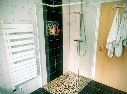 um banheiro com chuveiro e porta de vidro em Bel appartement à 10 minutes du marché de Noël de Strasbourg em Schiltigheim