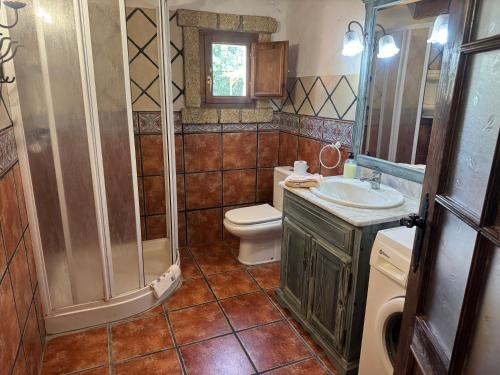 a bathroom with a shower and a toilet and a sink at Casa Lolita in El Río
