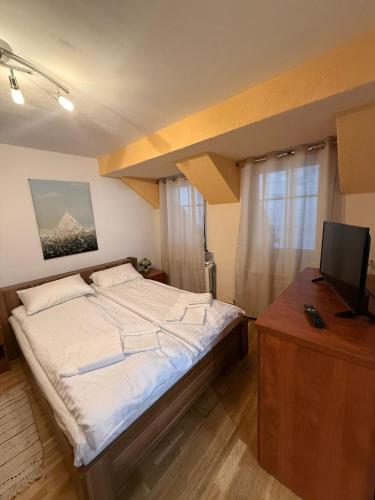 a bedroom with a large bed and a television at CENTRUM 22 RESIDENCE Ap II in Sibiu