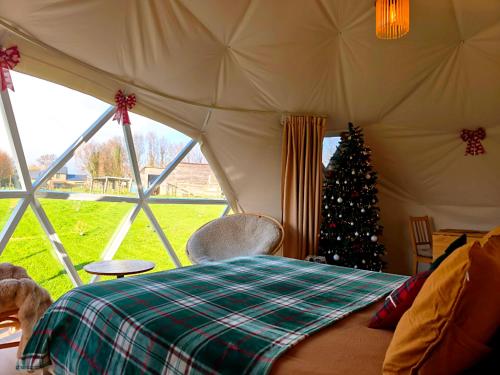 a room with a christmas tree in a tent at Dôme Saint-Eloi in Floursies