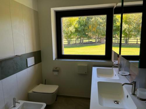 a bathroom with two sinks and a window at Casa Luigina in Verrayes