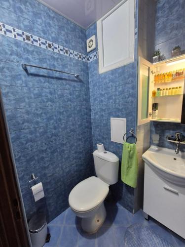 a blue bathroom with a toilet and a sink at Апартамент Михаел in Vidin