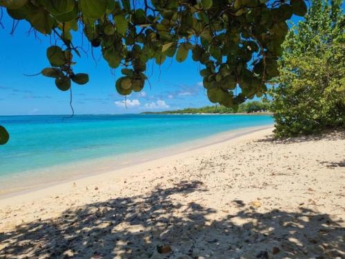 Φυσικό τοπίο κοντά σε αυτή η παραθεριστική κατοικία