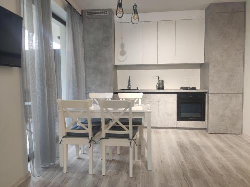 Kuchyň nebo kuchyňský kout v ubytování Belvedere Caraiman