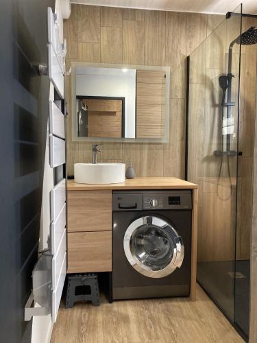 a washing machine in a bathroom with a sink at Cocon montagne Rocher du Cerf in Le Lioran