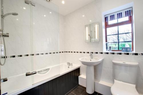 Et badeværelse på Nyth y Wennol