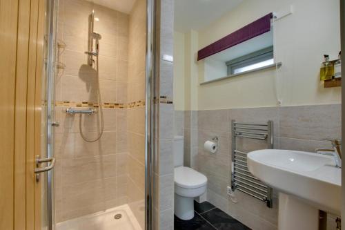 Plym Cottage في Broadhempston: حمام مع دش ومرحاض ومغسلة