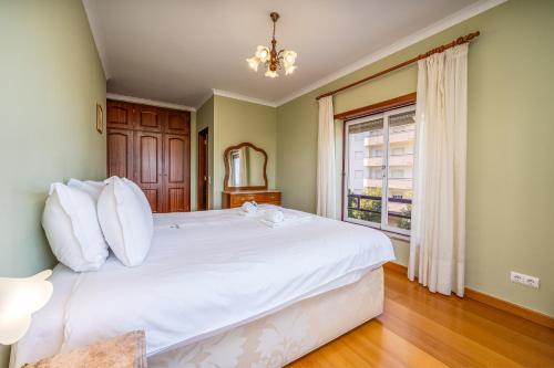 Peaceful stay near the city center #1977