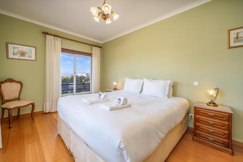 Peaceful stay near the city center #1977