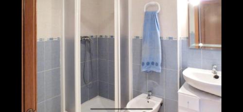 une salle de bain avec une douche avec des toilettes et un lavabo dans l'établissement Escapada Ideal en Oropesa, à El Borseral
