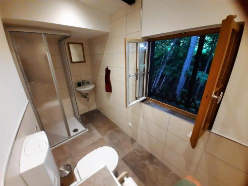 ein Badezimmer mit Toilette und Waschbecken und einem Fenster in der Unterkunft Wildromantische Berghütte mit Traum-Panorama in Haus