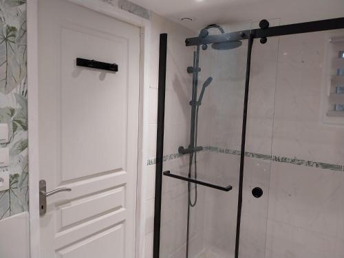 a bathroom with a shower and a white door at Les aires in Tourbes