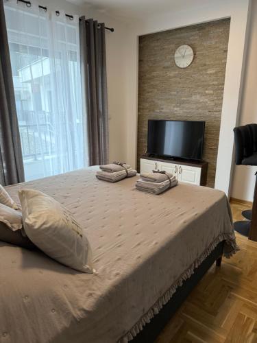 Un dormitorio con una cama grande y un televisor de pantalla plana. en Apartman Banjac, en Vrnjci