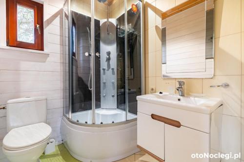 科乌切沃Domki Daglezja的带淋浴、马桶和水槽的浴室