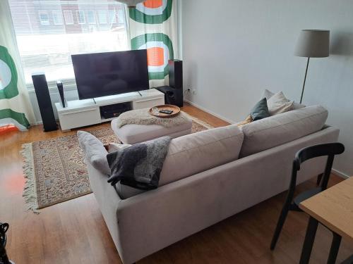 TV a/nebo společenská místnost v ubytování Mira's cozy city home