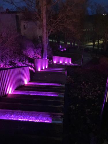 un escalier violet illuminé la nuit dans l'établissement Arkaadia, à Viljandi