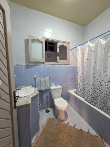 a blue and white bathroom with a toilet and a sink at apartment S3 ground floor in Mahdia