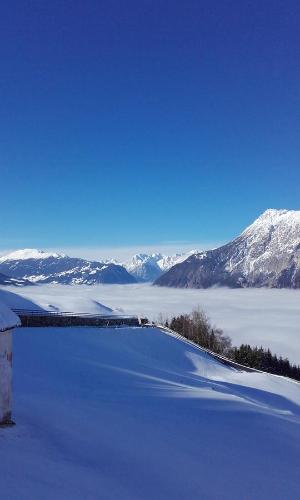 アパートメントの近くで見られる自然の景観