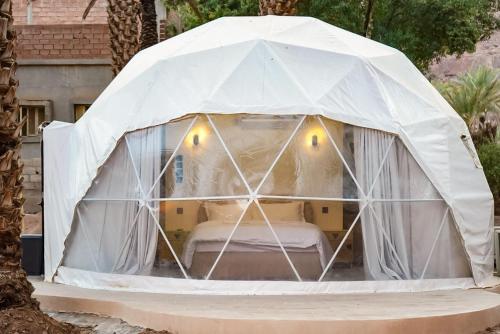 uma tenda branca para iguana com uma cama dentro. em نيوم العلا em Al Ula