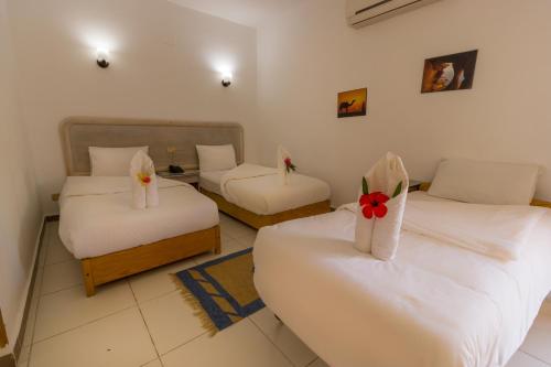 a hotel room with two beds and two chairs at Acacia Dahab Hotel in Dahab