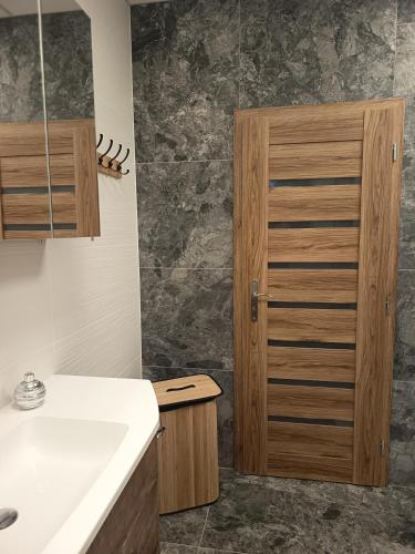 a bathroom with a sink and a wooden door at Apartmány MB JARO Mladá Boleslav in Bradlec
