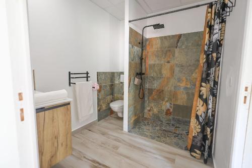 a bathroom with a shower and a toilet at L'Escapade Créole in Saint-François