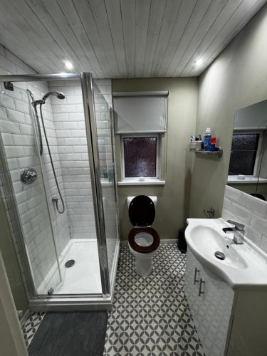 a bathroom with a shower and a toilet and a sink at Central 2 bed Apartment Bangor in Groomsport