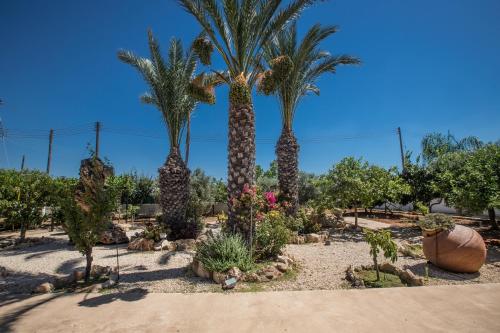 two palm trees in a garden with plants at Papas Family Villa in Paralimni