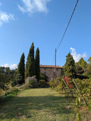 Zahrada ubytování Celler Colltor