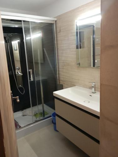 une salle de bains avec douche, lavabo et miroir dans l'établissement Mircea, à Craiova