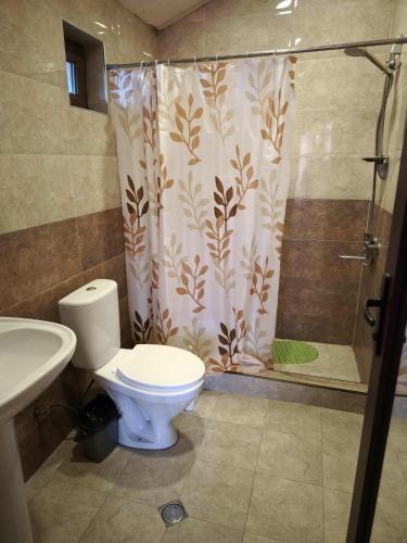 a bathroom with a toilet and a shower at Cottage Sunny Side in Bakuriani