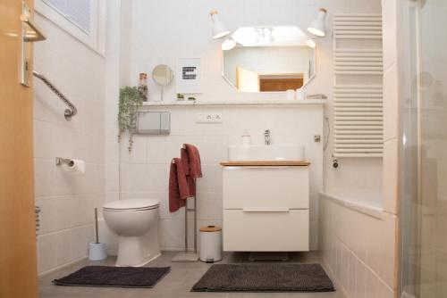 a bathroom with a toilet and a sink and a mirror at Altstadtwohnung mit Salzachblick in Burghausen