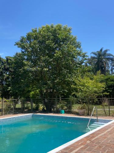 a swimming pool with a tree in the background at Loft en el quincho in Ingeniero Maschwitz