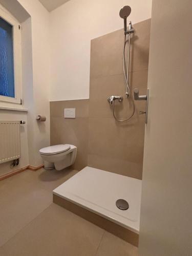a bathroom with a toilet and a shower stall at Cityappartment am Regensburger Dom in Regensburg
