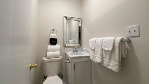 een badkamer met een toilet, een wastafel en een spiegel bij Cottage By The Sea - Unit A in Jekyll Island