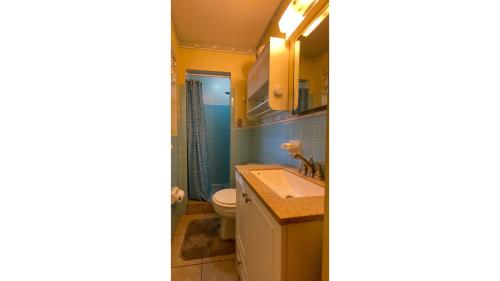 a bathroom with a sink and a toilet at Island Pines in Jekyll Island