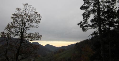 Naturlandschaft in der Nähe der Ferienwohnung