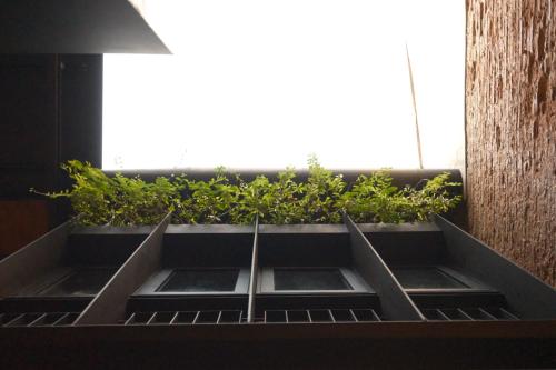 Fotografie z fotogalerie ubytování Playce Hotel v destinaci George Town