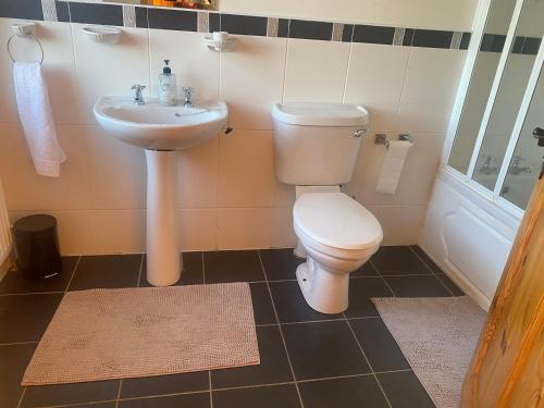 a bathroom with a toilet and a sink at scenic estuary way home in Labasheeda