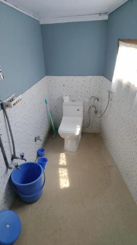 a bathroom with a toilet and a blue wall at Neer Stays Munsyari in Munsyari
