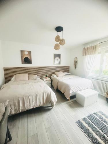 Charming and Cozy Apartment