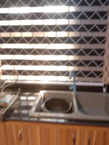 Η κουζίνα ή μικρή κουζίνα στο MoExoticRoyaleServices