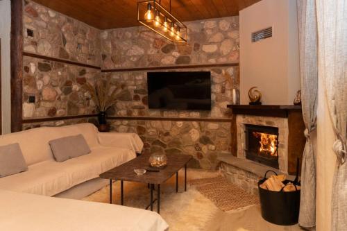 Bacco Village House في موزاكيون: غرفة معيشة مع أريكة ومدفأة