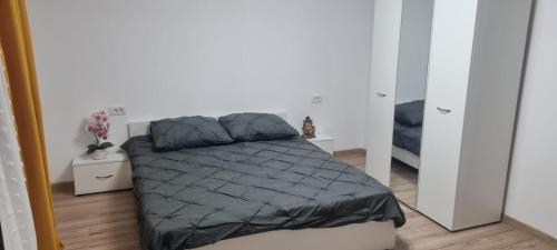 Photo de la galerie de l'établissement Vila 4 camere Albesti ,Dolj, à Craiova